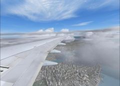 Wing view