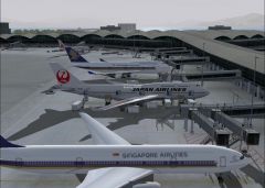 At the gate