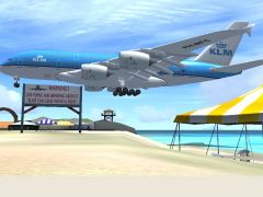 Please Don't Feed the Planes
