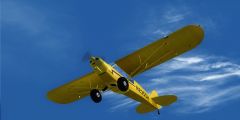 Cub8