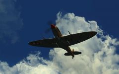 Spitfire