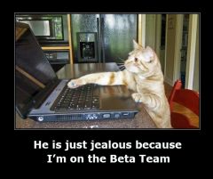 Cat On computer