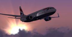 Speed Bird Flight