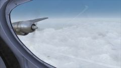 Hawaii Bound! (2)