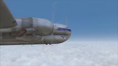 Hawaii Bound! (3)