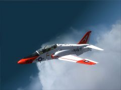 Dino's T45