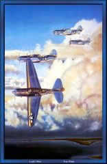 P aviation art13