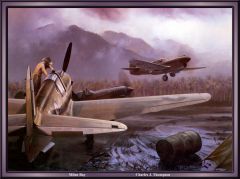 P aviation art31