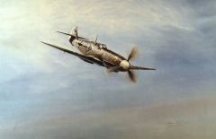 Air Combat Art 256