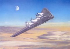 ART Kodera  Wing Over Mojave
