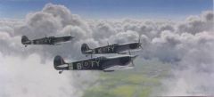 Air Combat Art 312