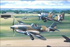 stokes flying tigers And buffalos
