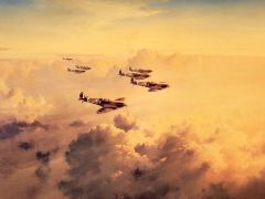 FlyingAces csg007 Bader