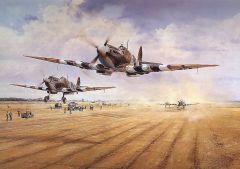 Air Combat Art 260