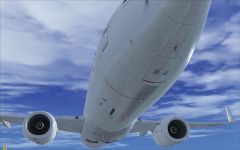 NGX belly-up