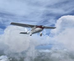 The Carenado CT206H - 4