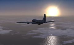 337 Rtw phnl 3