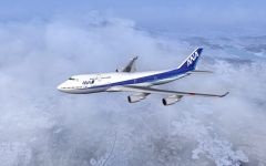 ANA FUJI