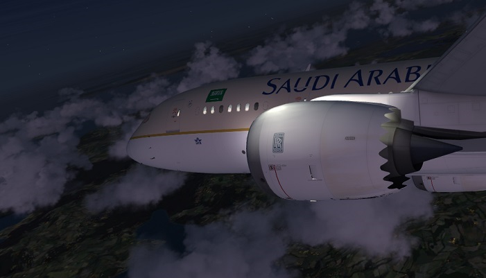 Wing & engine slat rays from wing lights on Aerosim 787