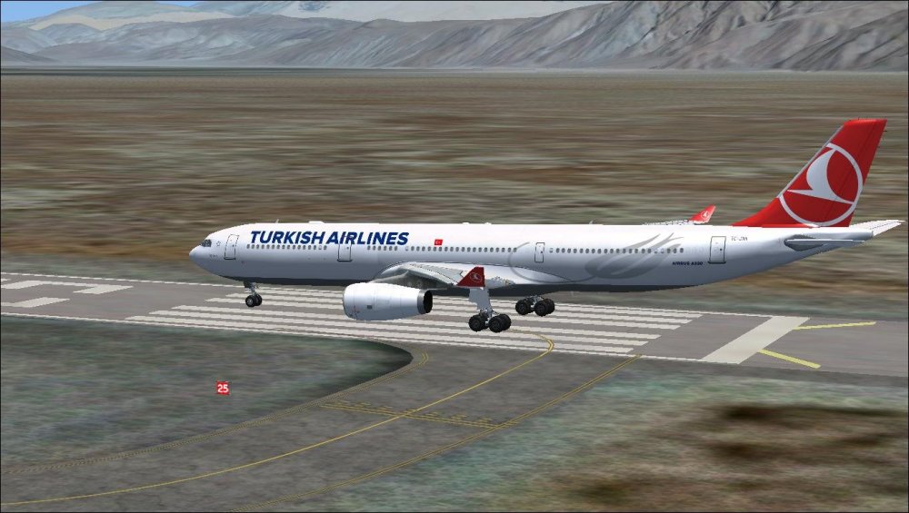 turkish a330.JPG