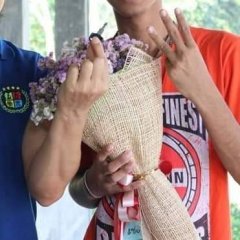 Lapit Lapinee