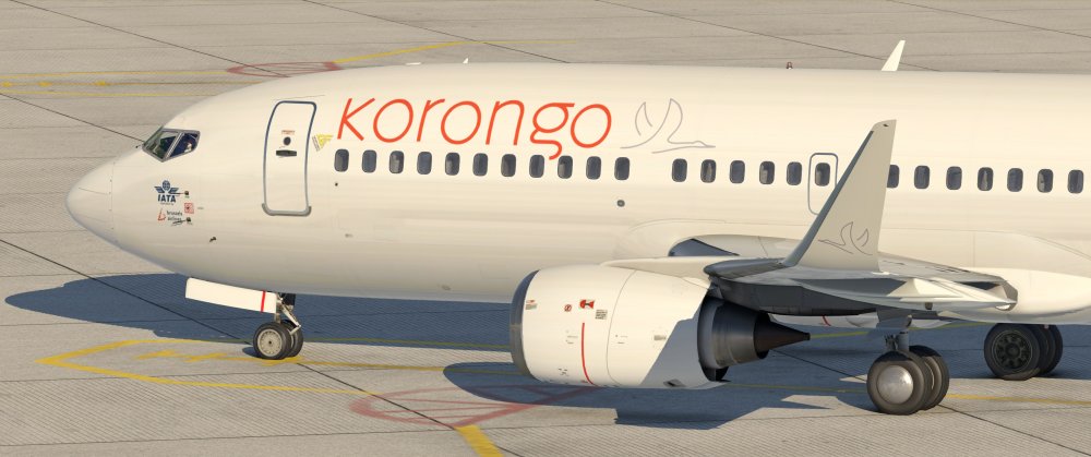 B733_10.thumb.jpg.14a3150f40b978cbac6ea74da079bf44.jpg
