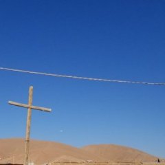 patriciorivera