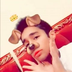 Saif Dahshan