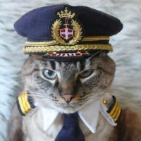 Captain Bilek