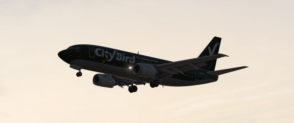 B733_2.png
