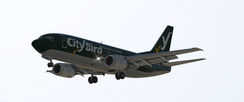 B733_3.png
