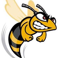 Hggs Hornet