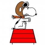 Snoopyace