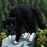 CatnipLeaves
