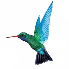 Brandon123