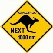Oz Flyer