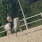 alaryk34