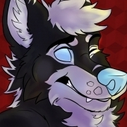 FIEARtheWolfdog
