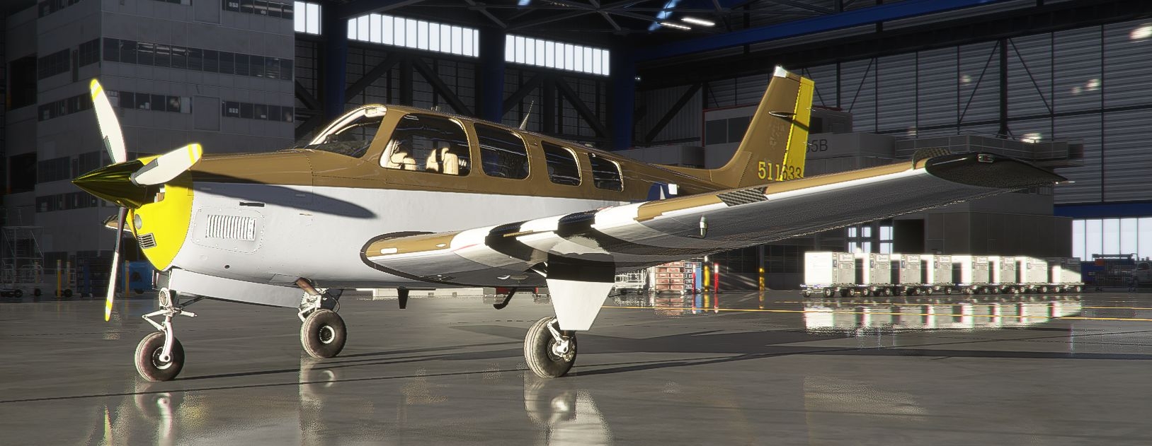 P51_invasion_1.jpg.c59d8e32ee56bd2f02e4a5594164c638.jpg
