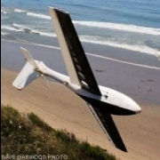 surfimp