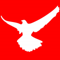 NightHawk1867