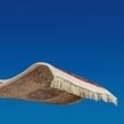 flying_carpet