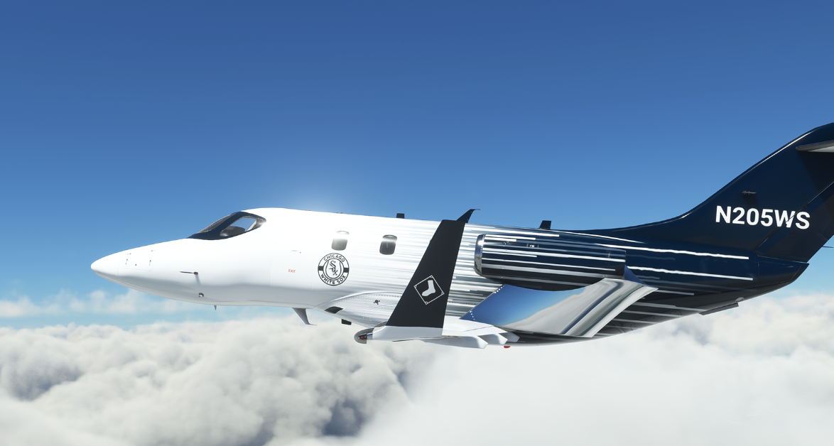 Flying with the Birds !!!