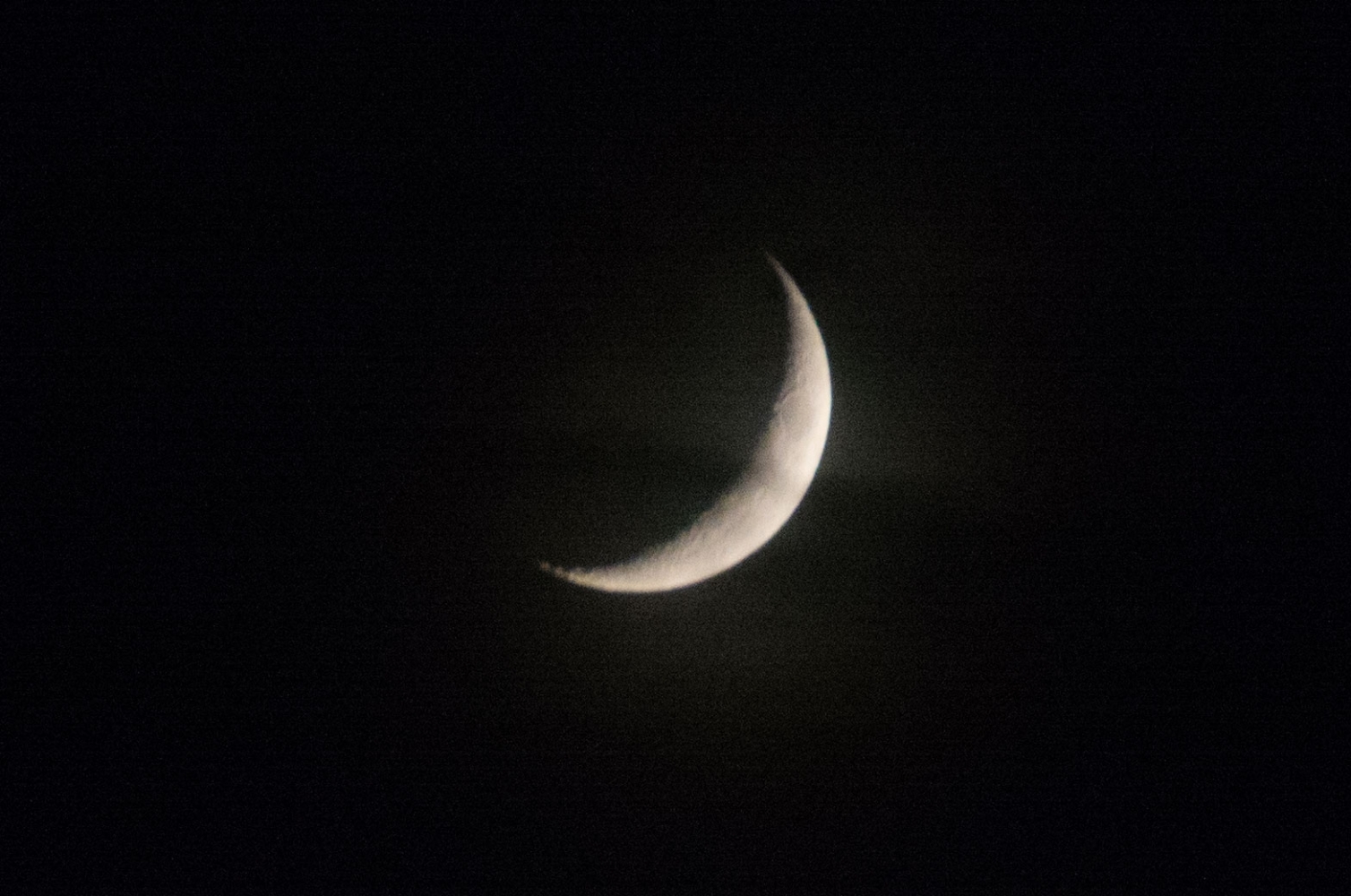 DSC_1513.jpg