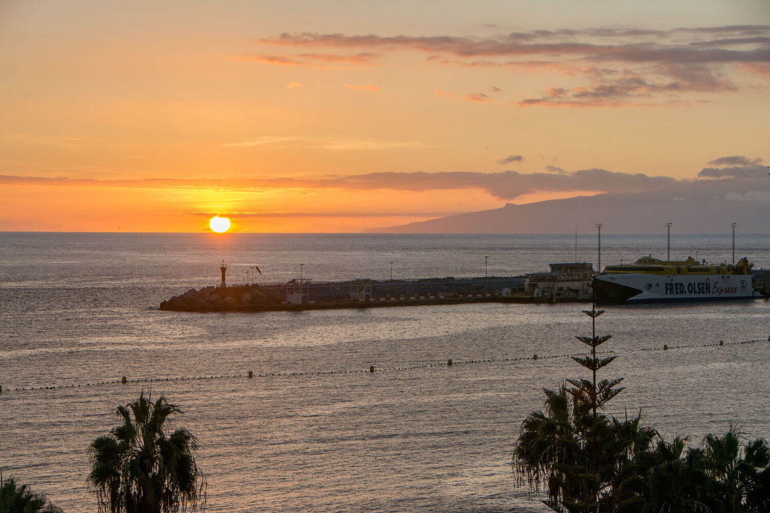 DSC_1596.jpg