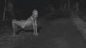 image.jpeg.a0da1fb21c4867898ef37d91e90bd320.jpeg