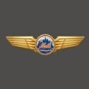 Mets737