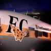 FastCheetah702