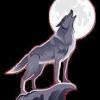 Lonewolfee1