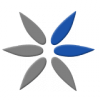 easyworldairlines